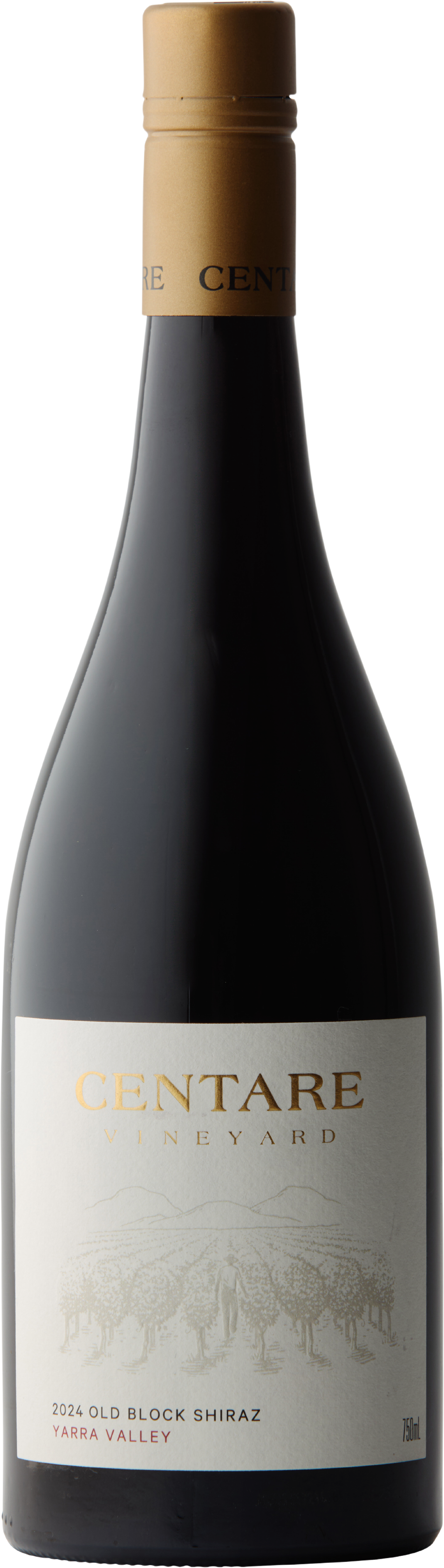 Centare Vineyard Old Block Shiraz 2024